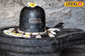 শিবরাত্রিতে শুধু উপোস করেই ফল পাবেন না! মানতে হবে 'ছোট্ট' এই নিয়ম! জানুন জ্যোতিষ মত