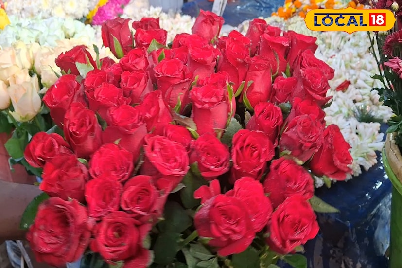 ভ্যালেন্টাইন্স ডে বললেই যে ছবিটি আমাদের সকলের মনের আসে সেটি হল ফুটফুটে লাল গোলাপ। এই দিনগুলিতে গোলাপের চাহিদা থাকে তুঙ্গে। গোলাপ ছাড়া যেন অসম্পূর্ণ ভ্যালেন্টাইন উইক। আর বিশেষ করে ভ্যালেন্টাইন্স ডে-র দিন তো যেন রেড রোজ মাস্ট।(ছবি ও তথ্য: সায়নী সরকার)