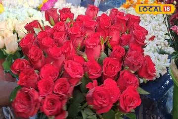 এবার গোলাপ ফুল ছাড়ুন...,ভ্যালেন্টাইন্স ডে-তে প্রিয় মানুষকে খাওয়ান লাল টুকটুকে 'রেড রোজ' এবার গোলাপ ফুল ছাড়ুন...,ভ্যালেন্টাইন্স ডে-তে প্রিয় মানুষকে খাওয়ান লাল টুকটুকে 'রেড রোজ'