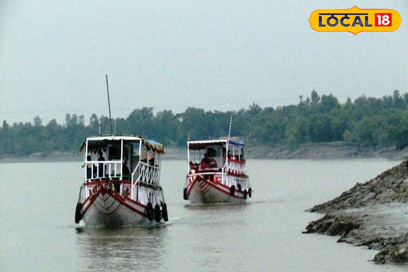 সুন্দরবন মানে জলে কুমির, ডাঙায় বাঘ। এ কথা বহু প্রচলিত। তবে গোটা শীতকাল জুড়ে সুন্দরবনের পর্যটকদের ভিড় চোখে পড়ার মতো। রয়েল বেঙ্গল টাইগারের সঙ্গে কুমির ও বহু পাখির দেখা মেলে। সুন্দরবন হল বৃহত্তম ম্যানগ্রোভ অরণ্য। আর এবার বাঘের পাশাপাশি সুন্দরবনে বাড়ছে কুমিরের সংখ্যাও। (তথ্য ও ছবি - সুমন সাহা)