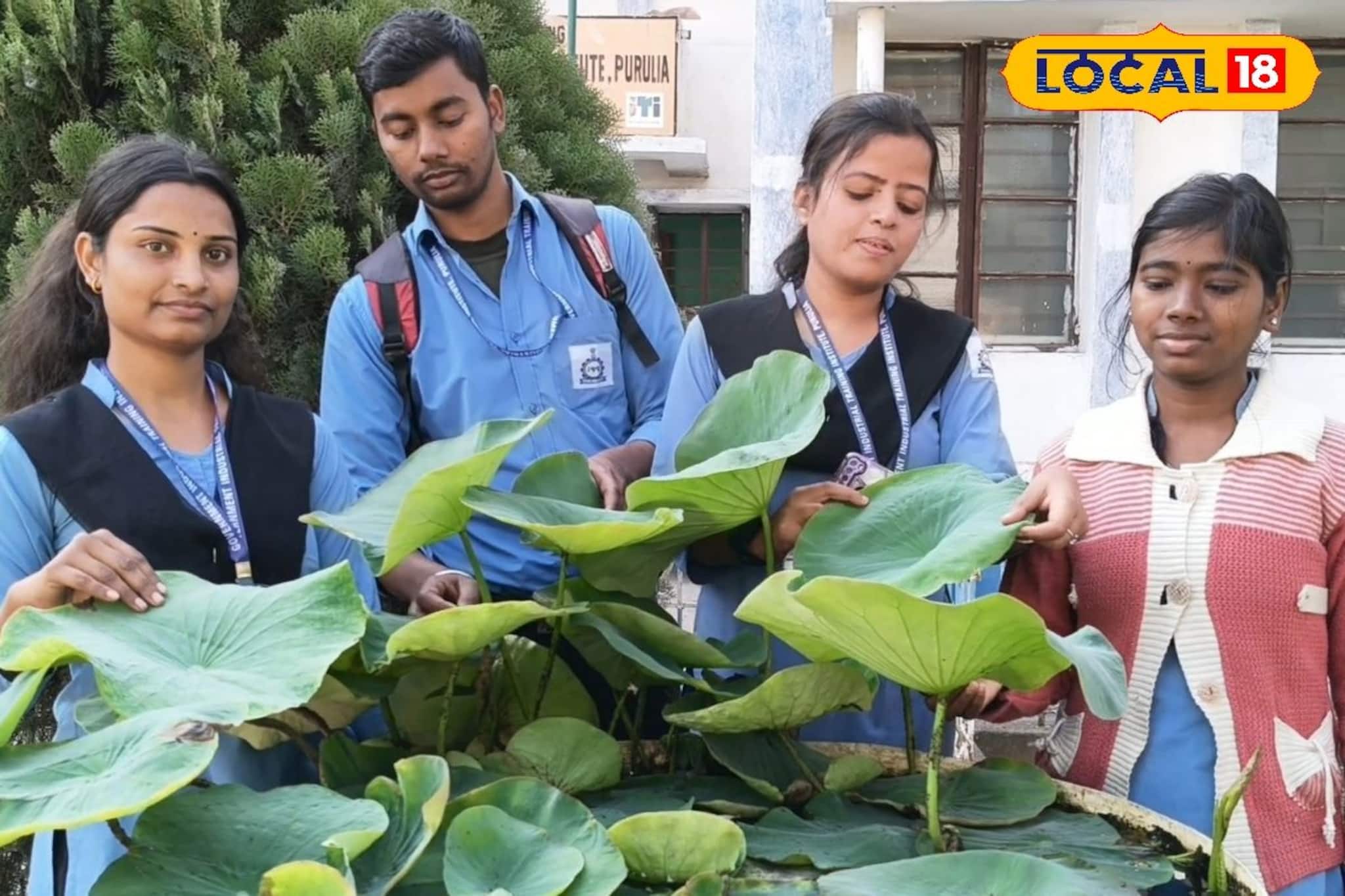 ড্রামের মধ্যেই পদ্ম চাষে সাফল্য, অভিনব উদ্যোগে নজর কাড়ল পুরুলিয়া আইটিআইয়ের ছাত্রীরা ড্রামের মধ্যেই পদ্ম চাষে সাফল্য, অভিনব উদ্যোগে নজর কাড়ল পুরুলিয়া আইটিআইয়ের ছাত্রীরা
