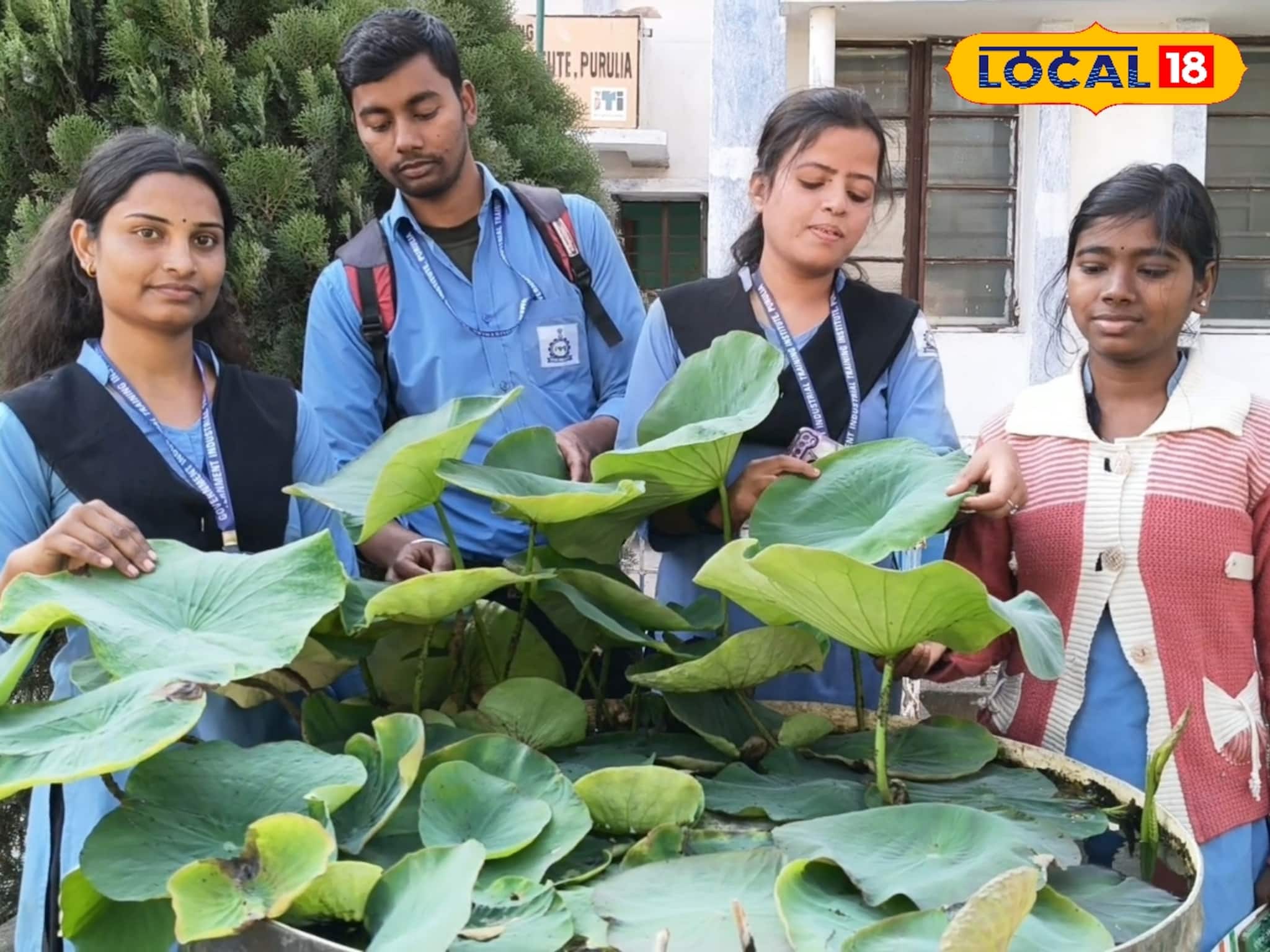 ড্রামের মধ্যেই পদ্ম চাষে সাফল্য, অভিনব উদ্যোগে নজর কাড়ল পুরুলিয়া আইটিআইয়ের ছাত্রীরা ড্রামের মধ্যেই পদ্ম চাষে সাফল্য, অভিনব উদ্যোগে নজর কাড়ল পুরুলিয়া আইটিআইয়ের ছাত্রীরা