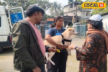 পথকুকুর বাড়িতে আনছেন? প্রাণিসম্পদ দফতরের এই নির্দেশিকা না মানলে হতে পারে জেল!