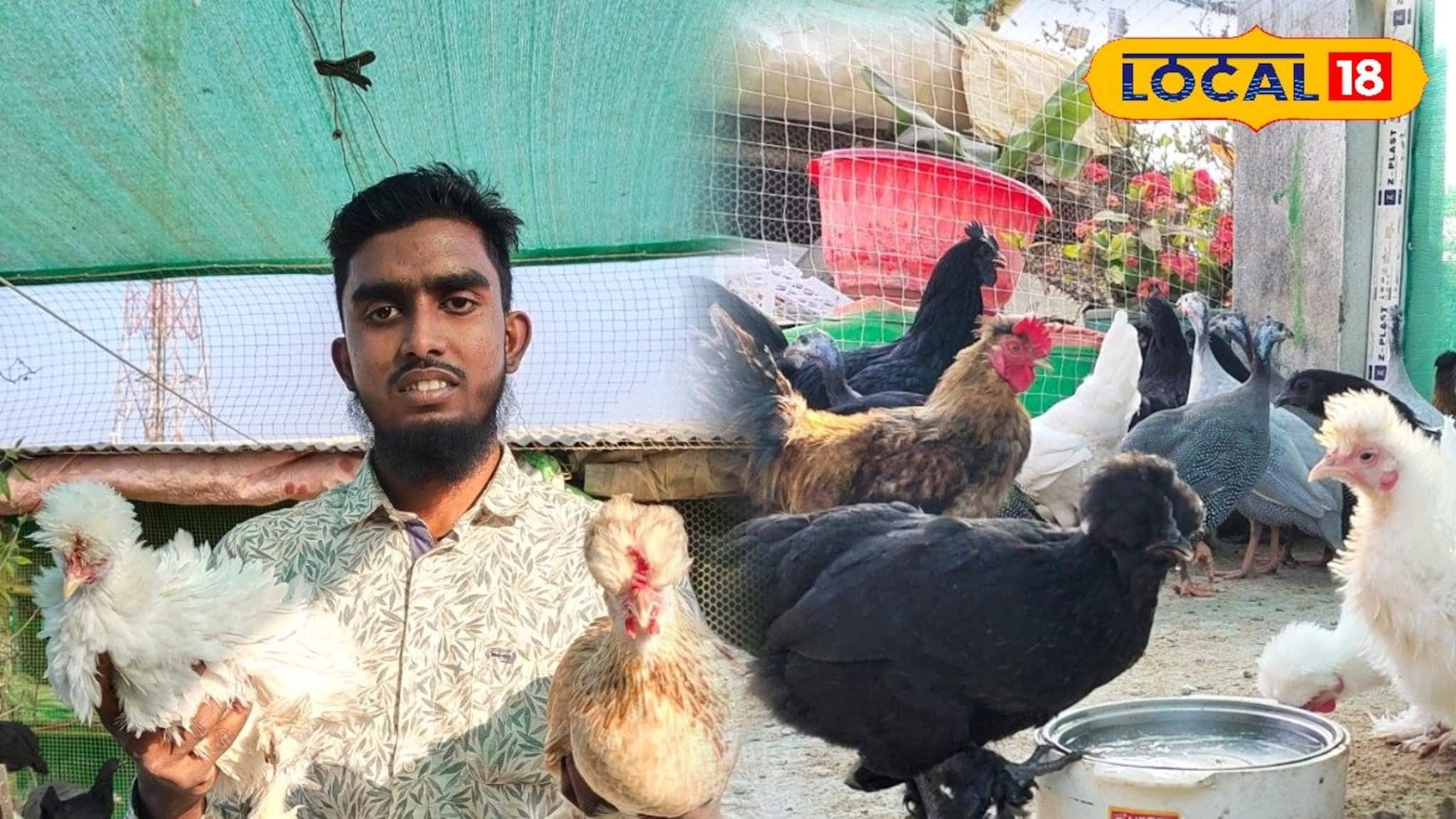 ছাদে বিদেশি মুরগির খামার থেকেই লাখোপতি কলেজ পড়ুয়া, রইল 'বড়লোক' হওয়ার সহজ সিক্রেট