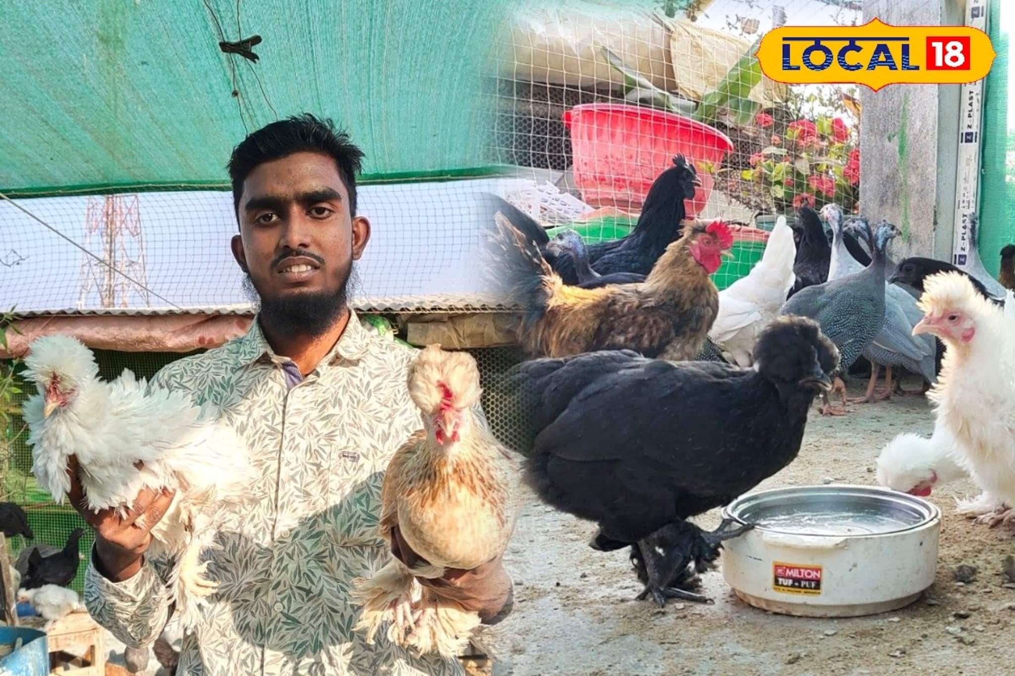 ছাদে বিদেশি মুরগির খামার থেকেই লাখোপতি কলেজ পড়ুয়া, রইল 'বড়লোক' হওয়ার সহজ সিক্রেট ছাদে বিদেশি মুরগির খামার থেকেই লাখোপতি কলেজ পড়ুয়া, রইল 'বড়লোক' হওয়ার সহজ সিক্রেট