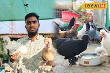 Chicken Farming Success: ছাদে বিদেশি মুরগির খামার থেকেই লাখোপতি কলেজ পড়ুয়া, রইল 'বড়লোক' হওয়ার সহজ সিক্রেট