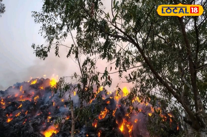 দক্ষিণ ২৪ পরগনার শ্রীধরনগর ও মহেশতলায় ভয়াবহ আগুন লাগার ঘটনায় চাঞ্চল্য ছড়াল এলাকায়। গোবর্ধনপুর কোস্টাল থানার শ্রীধরনগরের আগুন নেভাতে দমকল কর্মীরা পৌঁছাতে পারেনি। অপরদিকে মহেশতলায় আগুন নেভাতে পৌঁছেছিল দমকলের দুটি ইঞ্জিন। (ছবি ও তথ্য: নবাব মল্লিক)