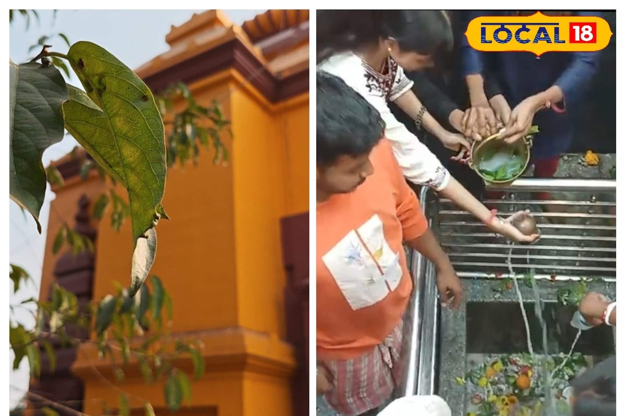 পাথরের ভাস্কর্যে ইতিহাসের জয়গান, মন ভরিয়ে দেয় বাঁকুড়ার এক্তেশ্বর শিব মন্দির