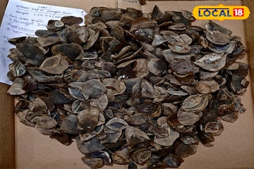 মেঘালয় থেকে প্যাঙ্গোলিনের আঁশ এনে চলছিল চোরাকারবারি,গ্রেফতার ৩ মেঘালয় থেকে প্যাঙ্গোলিনের আঁশ এনে চলছিল চোরাকারবারি,গ্রেফতার ৩