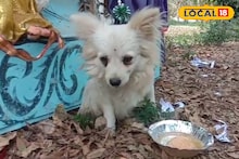 Nadia News: পায়ে গুরুতর ক্ষত, অসুস্থ বলে রাস্তায় ছুড়ে ফেলে দিল বিদেশী কুকুরছানাকে, তারপরই ঘটল...