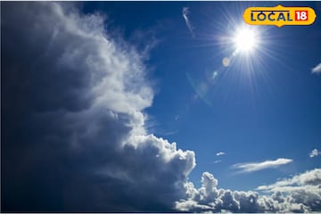 চোখ রাঙাচ্ছে চিকেন পক্স, ডাক্তারবাবুর কথা মেনে নিয়মিত পাতে রাখুন 'এই' খাবারগুলো