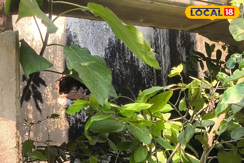 Bankura Tourism: সোনামুখীর হানাবাড়ি! নেপথ্যে মাস্টারমাইন্ড ব্যবসায়ী চিকিৎসক! কী ঘটত সেখানে? আজও জানে না অনেকেই Bankura Tourism: সোনামুখীর হানাবাড়ি! নেপথ্যে মাস্টারমাইন্ড ব্যবসায়ী চিকিৎসক! কী ঘটত সেখানে? আজও জানে না অনেকেই