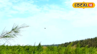 দাগারা সি বিচ