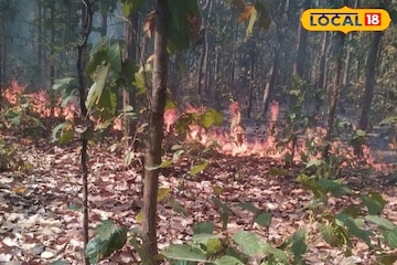 বিপদের মুখে বীরভূমের সবুজ সম্পদ! বসন্তের শুরুতেই একের পর এক ভয়াবহ ঘটনা