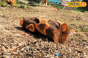 বন দফতরের কর্মতৎপরতাই কাল! মালদহে দুষ্কৃতী হামলায় আহত খোদ আধিকারিক, এলাকায় শোরগোল