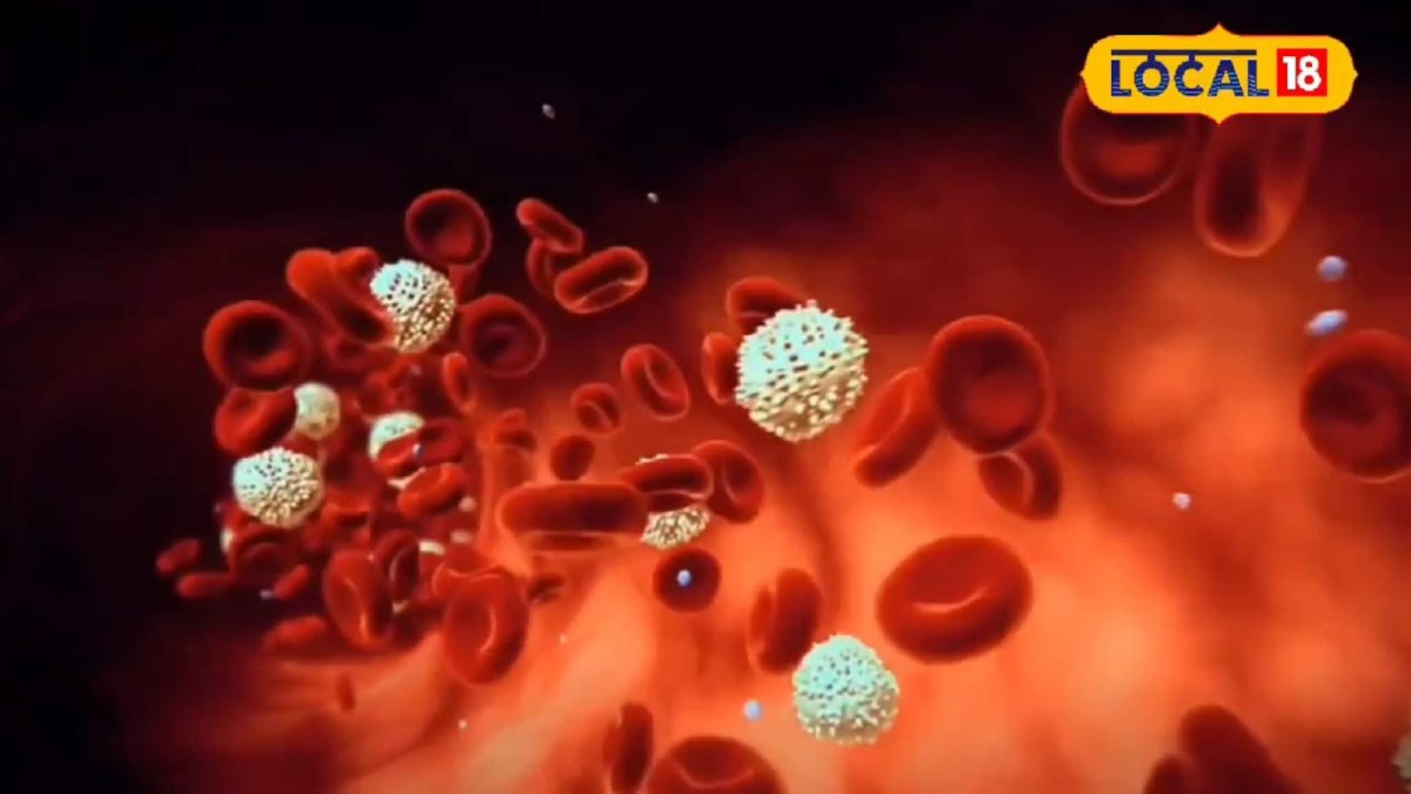 Cholesterol Control Tips: রক্তে 'ব্যাড কোলেস্টেরল' বেড়েছে? ওষুধ ছাড়াই হার্ট সুস্থ রাখার ৩টি মোক্ষম দাওয়াই দিলেন চিকিৎসক