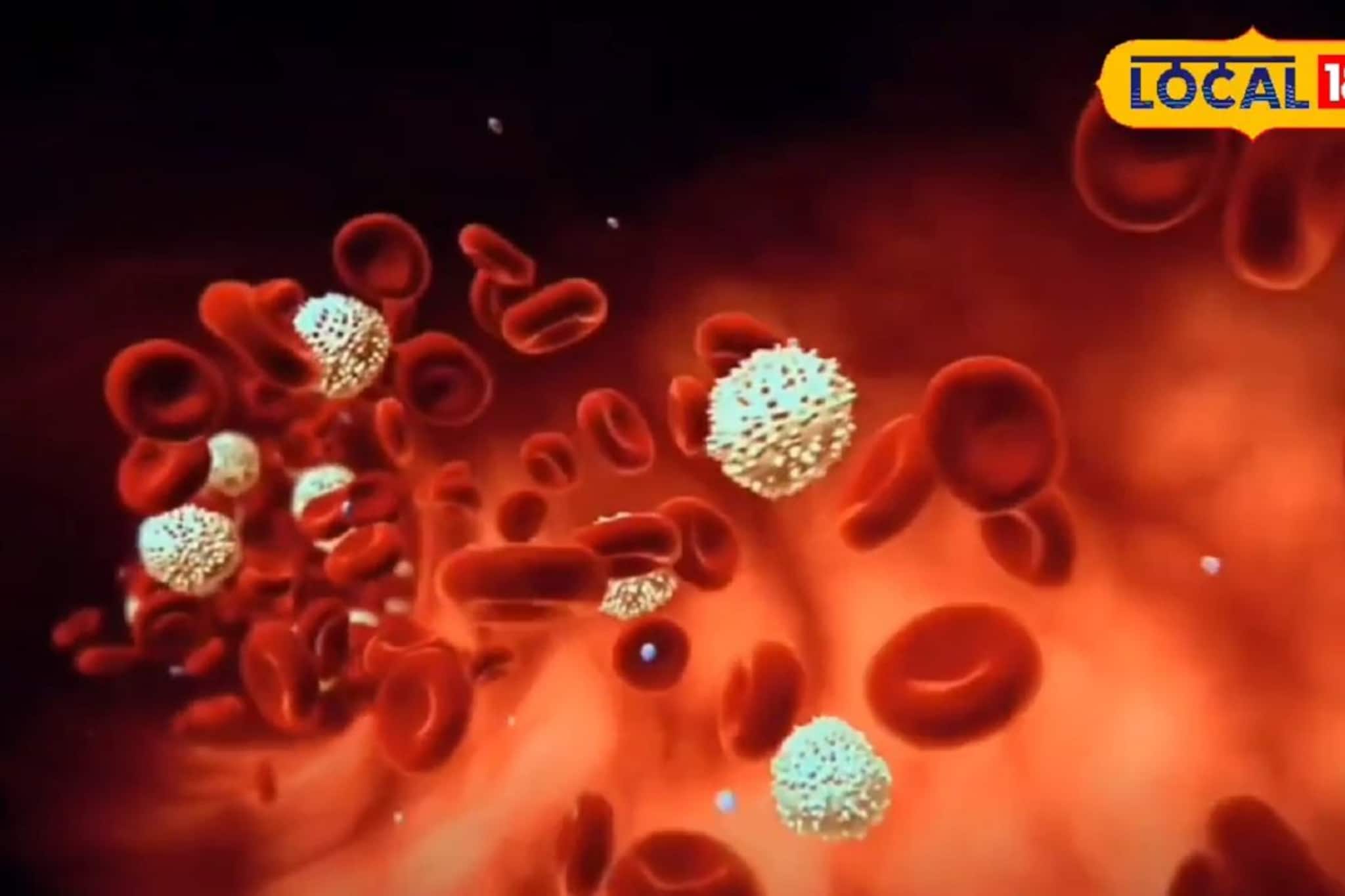 প্রতিদিন মাত্র ৩০ মিনিটের এই অভ্যাস! কোলেস্টেরলের যম হতে পারে চিকিৎসকের দেওয়া এই টিপস প্রতিদিন মাত্র ৩০ মিনিটের এই অভ্যাস! কোলেস্টেরলের যম হতে পারে চিকিৎসকের দেওয়া এই টিপস