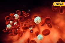 Cholesterol Control Tips: রক্তে 'ব্যাড কোলেস্টেরল' বেড়েছে? ওষুধ ছাড়াই হার্ট সুস্থ রাখার ৩টি মোক্ষম দাওয়াই দিলেন চিকিৎসক