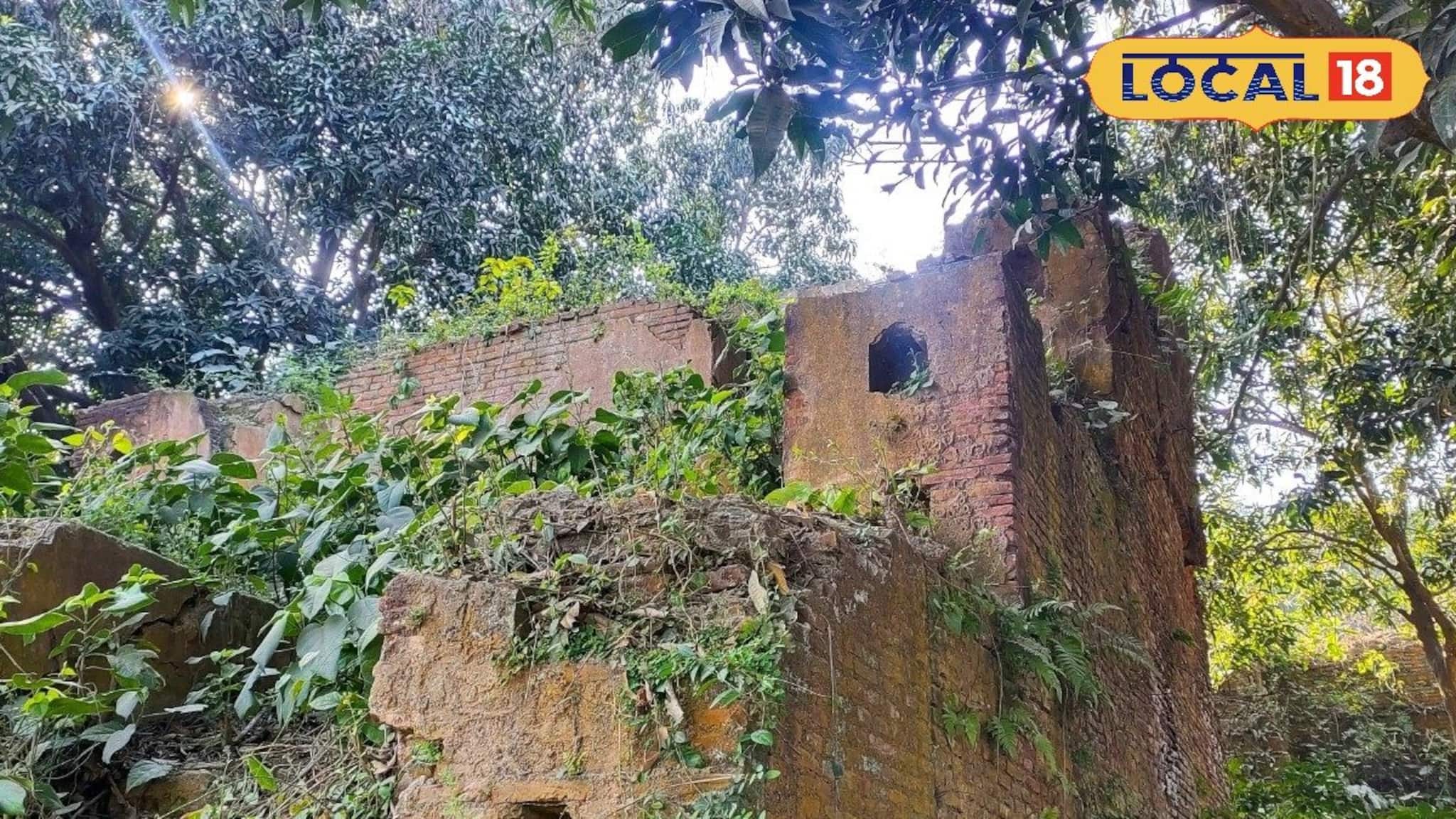 Bengal History: জঙ্গলে ঢাকা অতীতের সাক্ষী! ব্রিটিশদের নির্মিত মালদহের প্রথম নীলকুঠি এখন পরিত্যক্ত ইঁটের দেওয়াল