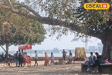 Tour and Travel: একসময়ে প্রকৃতি এখানে হাতছানি দিয়ে ডাকত, এখন সেই স্থানই আবর্জনার স্তূপ! ফিকে হচ্ছে সৌন্দর্য