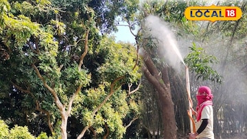 মালদহের