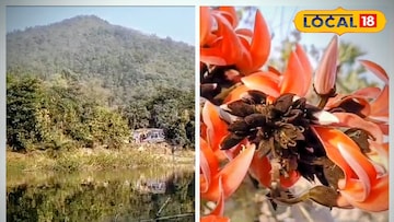 শুশুনিয়া