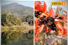 Bankura News: ‘পিন্দারে পলাশের বন...’, বসন্ত আসতেই পলাশ-কুসুমে সেজে উঠছে শুশুনিয়া! দোলে ঘোরার আদর্শ জায়গা