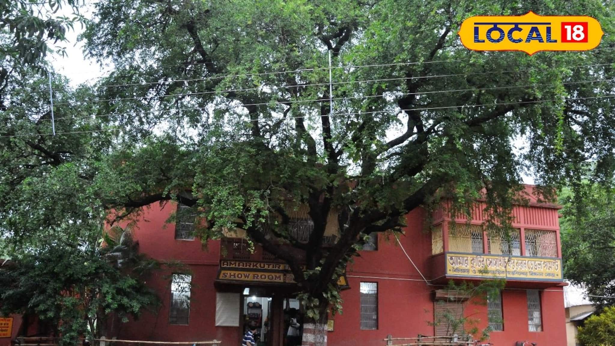 দোল খেলতে শান্তিনিকেতনে যাওয়ার প্ল্যান? অবশ্যই ঘুরে আসুন 'আমার কুটির' থেকে! কী আছে এখানে? দেখুন!