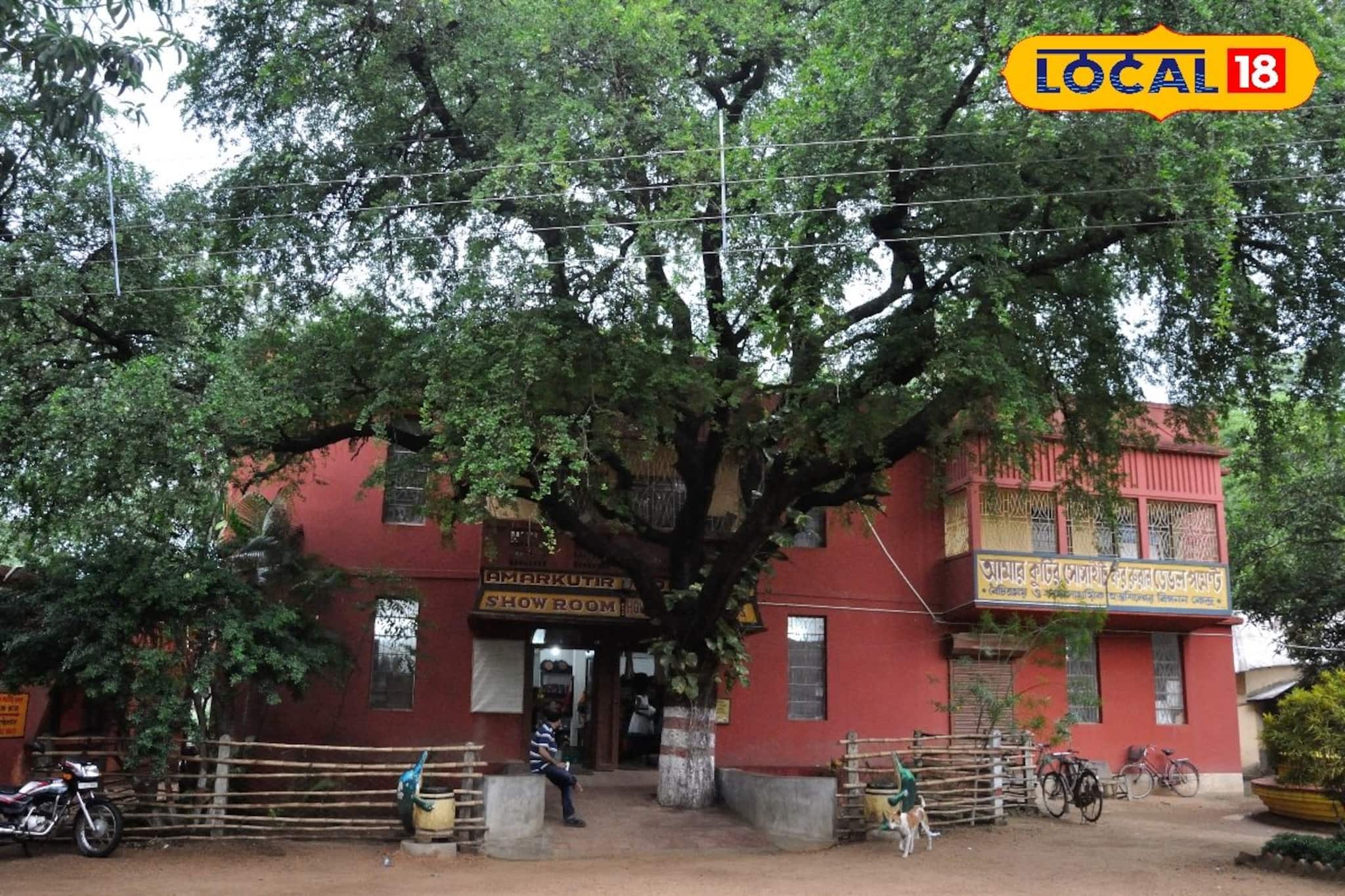 বসন্ত উৎসবে বোলপুর গেলে অবশ্যই ঘুরে আসুন 'আমার কুটির'! না হলে কী কী মিস করবেন দেখুন বসন্ত উৎসবে বোলপুর গেলে অবশ্যই ঘুরে আসুন 'আমার কুটির'! না হলে কী কী মিস করবেন দেখুন