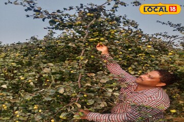 আধুনিক বিপণন পদ্ধতিতে কৃষকদের দক্ষ করতে হাওড়ায় প্রশিক্ষণ শিবির, হাতে-কলমে প্রদর্শন