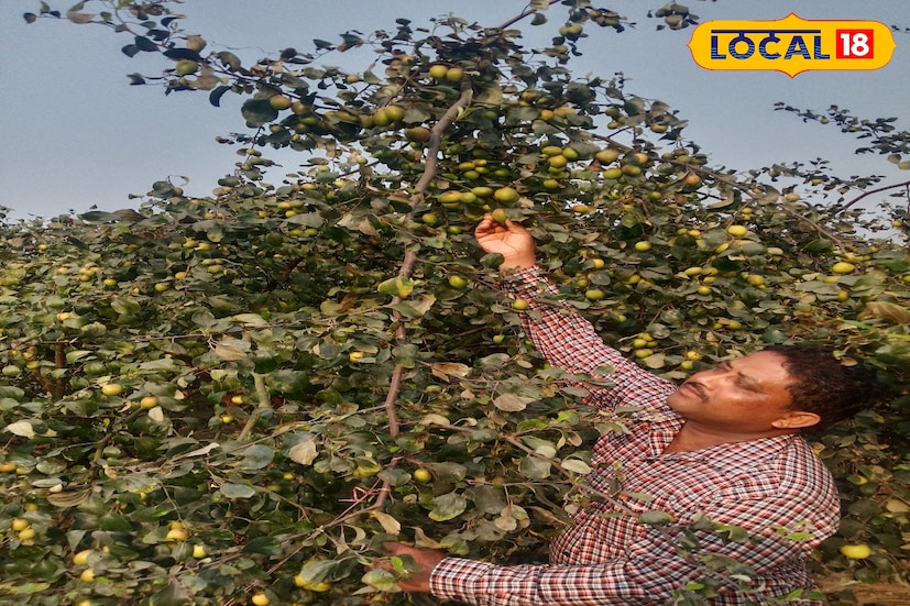 কৃষকদের উৎপাদিত কৃষিপণ্যের ন্যায্য বাজারমূল্য নিশ্চিত করতে হাওড়া জেলায় কৃষক প্রশিক্ষণ। হাওড়া জেলা রেগুলেটেড মার্কেটিং কমিটির উদ্যোগে ও পরিচালনায় কৃষক প্রশিক্ষণ কর্মসূচির আয়োজন করা হয়। প্রশিক্ষণ শিবিরে কৃষকদের শস্য ও কৃষিপণ্যের গ্রেডিং (মান নির্ধারণ), সর্টিং (বাছাই), প্যাকেজিং (মোড়কজাতকরণ) এবং বিপণন সংক্রান্ত আধুনিক ও বৈজ্ঞানিক পদ্ধতি সম্পর্কে বিস্তারিতভাবে প্রশিক্ষণ দেওয়া হয়। (ছবি ও তথ্য: রাকেশ মাইতি)