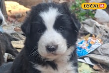 Pet Missing: রক্তের টান নয়, হৃদয়ের বাঁধন, নিখোঁজ টুনটুনির খোঁজে নাওয়া-খাওয়া ভুলেছে মা ও দে পরিবার