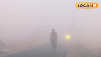 Dense Fog: বসন্তের মধ্যে কুয়াশা! দৃশ্যমানতা নামল ঝপঝপ করে, ১০ ফুট দূরেও অদৃশ্য পথ