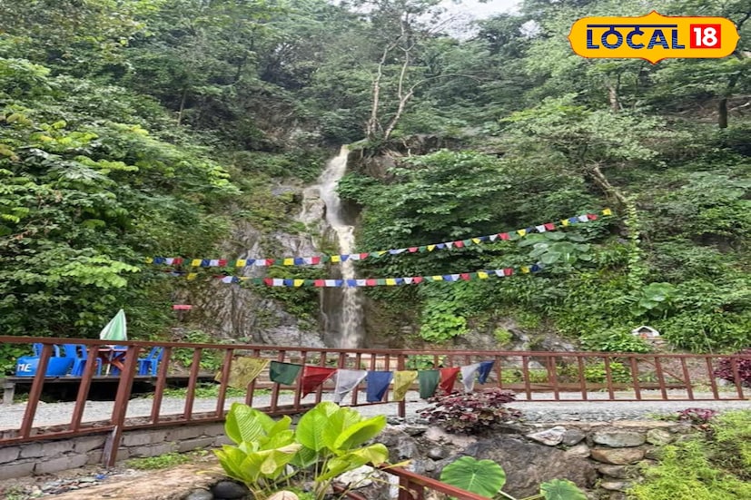 *আলিপুরদুয়ার, অনন্যা দে: ভুটান ঘুরতে গিয়ে থিম্পু, পারো না গেলেও এই ভাইরাল স্পটে একবার আপনাকে যেতেই হবে। এই স্পটেই রয়েছে ঝর্ণা। পাশাপাশি থাকছে থাকার ব্যবস্থা। জায়গাটির নাম পাচু। *আলিপুরদুয়ার, অনন্যা দে: ভুটান ঘুরতে গিয়ে থিম্পু, পারো না গেলেও এই ভাইরাল স্পটে একবার আপনাকে যেতেই হবে। এই স্পটেই রয়েছে ঝর্ণা। পাশাপাশি থাকছে থাকার ব্যবস্থা। জায়গাটির নাম পাচু।