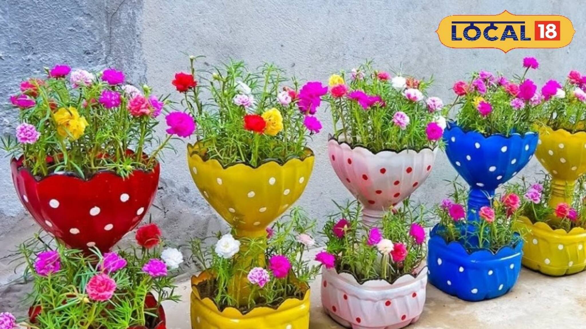 DIY Garden Ideas: পুরনো প্লাস্টিক বোতল কি ফেলে দিচ্ছেন? বাগান সাজানোর এই ম্যাজিক ট্রিক দেখলে আর কক্ষনো ফেলবেন না!