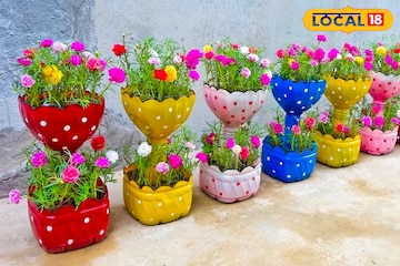 ফেলে দেওয়া জিনিসই হবে শখের টব! কম খরচে বাগান সাজানোর দারুণ কিছু ঘরোয়া আইডিয়া ফেলে দেওয়া জিনিসই হবে শখের টব! কম খরচে বাগান সাজানোর দারুণ কিছু ঘরোয়া আইডিয়া