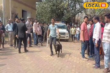 ‘কোর্টে রাখা আছে বোমা’! মেইল ঘিরে আতঙ্ক, খালি করা হল আসানসোল আদালত ‘কোর্টে রাখা আছে বোমা’! মেইল ঘিরে আতঙ্ক, খালি করা হল আসানসোল আদালত