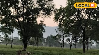 দখিনা হাওয়ার পরশের মধ্যেই ঝপঝপ করে বাড়ছে তাপমাত্রা, সূর্যের খেলা শুরু, রইল ওয়েদার আপডেট