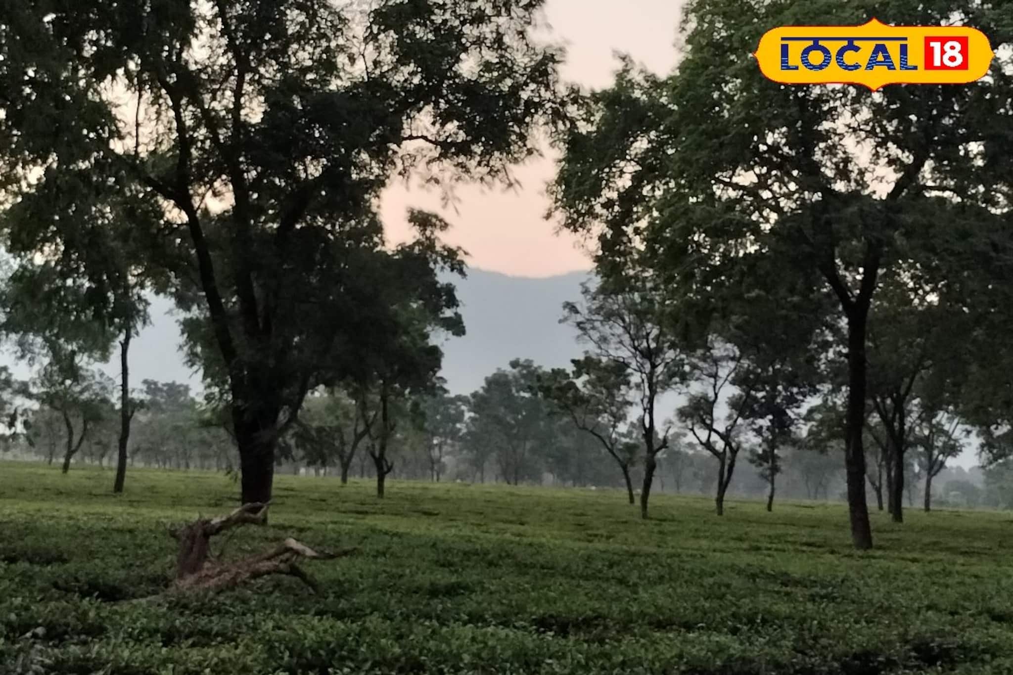 দখিনা হাওয়ার পরশের মধ্যেই ঝপঝপ করে বাড়ছে তাপমাত্রা, সূর্যের খেলা শুরু, রইল ওয়েদার আপডেট দখিনা হাওয়ার পরশের মধ্যেই ঝপঝপ করে বাড়ছে তাপমাত্রা, সূর্যের খেলা শুরু, রইল ওয়েদার আপডেট