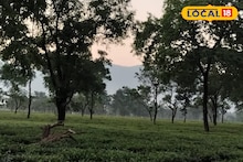 West Bengal Weather: দখিনা হাওয়ার পরশের মধ্যেই ঝপঝপ করে বাড়ছে তাপমাত্রা, সূর্যের খেলা শুরু, রইল ওয়েদার আপডেট
