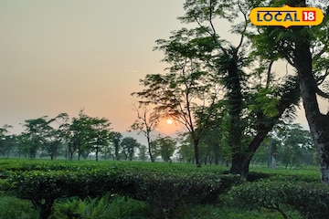 দখিনা হাওয়ার পরশের মধ্যেই ঝপঝপ করে বাড়ছে তাপমাত্রা, সূর্যের খেলা শুরু, রইল ওয়েদার আপডেট দখিনা হাওয়ার পরশের মধ্যেই ঝপঝপ করে বাড়ছে তাপমাত্রা, সূর্যের খেলা শুরু, রইল ওয়েদার আপডেট