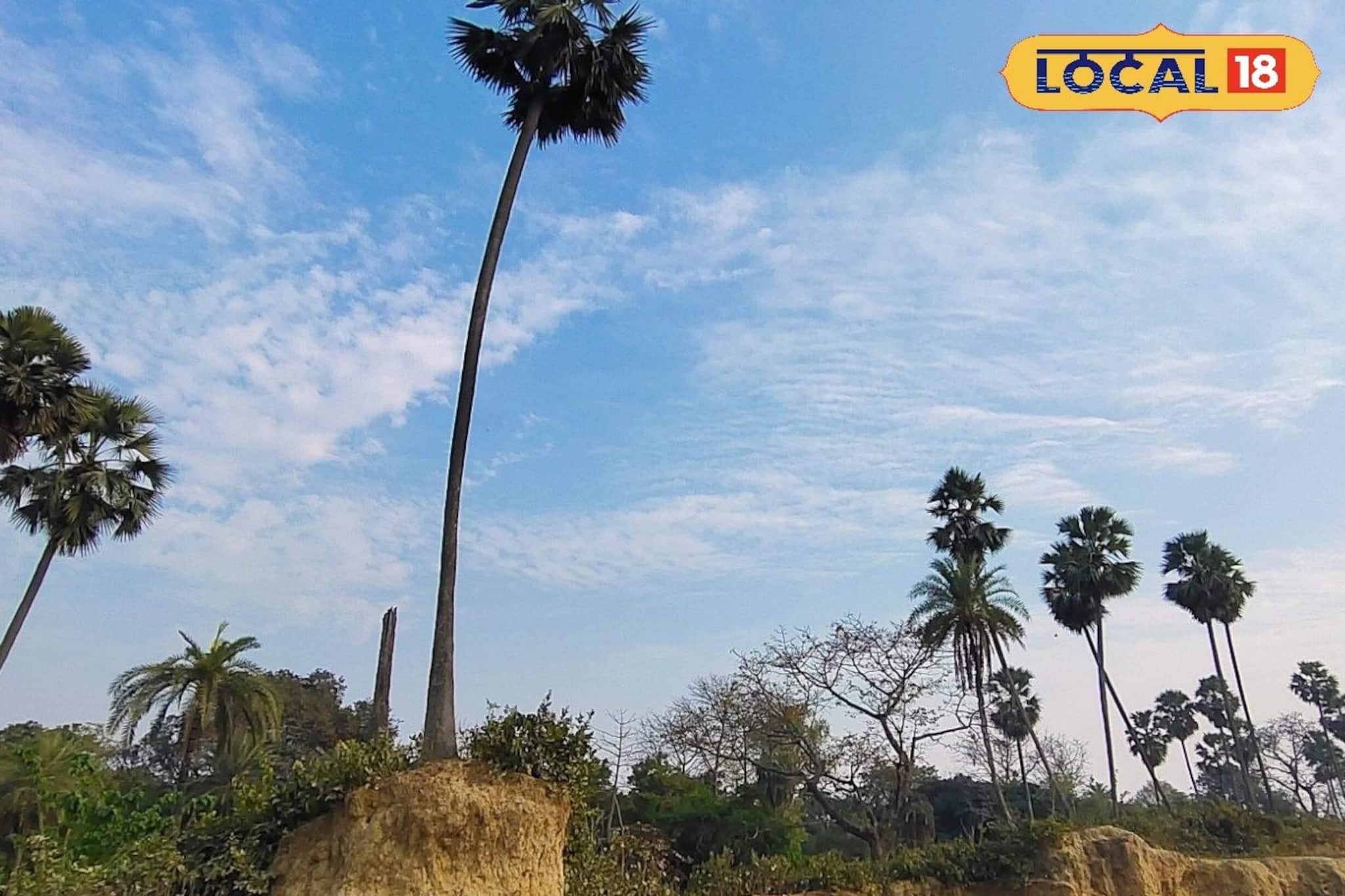 মাটির ঢিবির আড়ালে লুকিয়ে রাজকীয় ইতিহাস! বল্লাল সেনের দুর্গের ধ্বংসাবশেষ দেখুন মালদহে মাটির ঢিবির আড়ালে লুকিয়ে রাজকীয় ইতিহাস! বল্লাল সেনের দুর্গের ধ্বংসাবশেষ দেখুন মালদহে