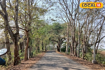 শহরের কোলাহল ভুলে হাওড়ার এই নির্জন পথ! মন ভাল করার এক জাদুকরী ওষুধ