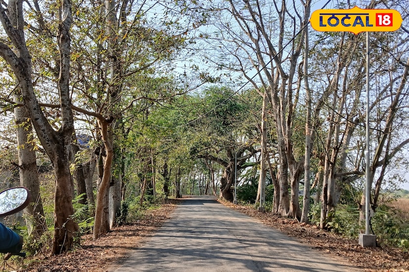 শীত শেষে আরও মায়াবী, প্রকৃতির হাতছানি এখানে! বিকেলে খোলা মনে হাওয়া লাগাতে মানুষের উপস্থিতি এখানে। দৃশ্য এমন, বহু দূরের কোনও স্থান। তবে হাওড়া শহর থেকে সামান্য দূরত্বে, হাওড়া আমতা রোডের কাছেই এই মনোরম পরিবেশ। (ছবি ও তথ্য: রাকেশ মাইতি)