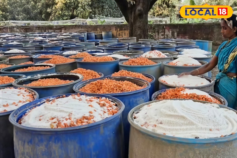 *উত্তর ২৪ পরগনার দেগঙ্গা এলাকায় কৃষিকে ঘিরে শুরু হয়েছে এক নতুন সম্ভাবনার দিগন্ত। বিস্তীর্ণ জমিতে গাজর চাষের জন্য পরিচিত এই অঞ্চল এখন গাজর সংরক্ষণ ও ফুড প্রসেসিং শিল্পের মাধ্যমে কর্মসংস্থানের এক উজ্জ্বল উদাহরণ হয়ে উঠছে। চাষ থেকে প্রক্রিয়াকরণ—পুরো ব্যবস্থাই এখন স্থানীয় মানুষের হাতে গড়ে উঠছে ধীরে ধীরে।