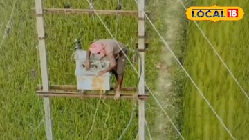 কাটোয়া 