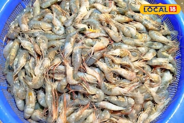 একবার খেলে বারবার চাইবেন, চিংড়ি মাছের চপ খেতে ছুটে আসছে সকলে, সন্ধে হলেই উপচে পড়া ভিড়