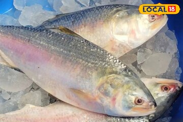 দিঘায় মাছের হাহাকার, ভাগ্য ভাল হলে শুধু জুটছে ইলিশ! ব্যান পিরিয়ডের আগেই সব উধাও