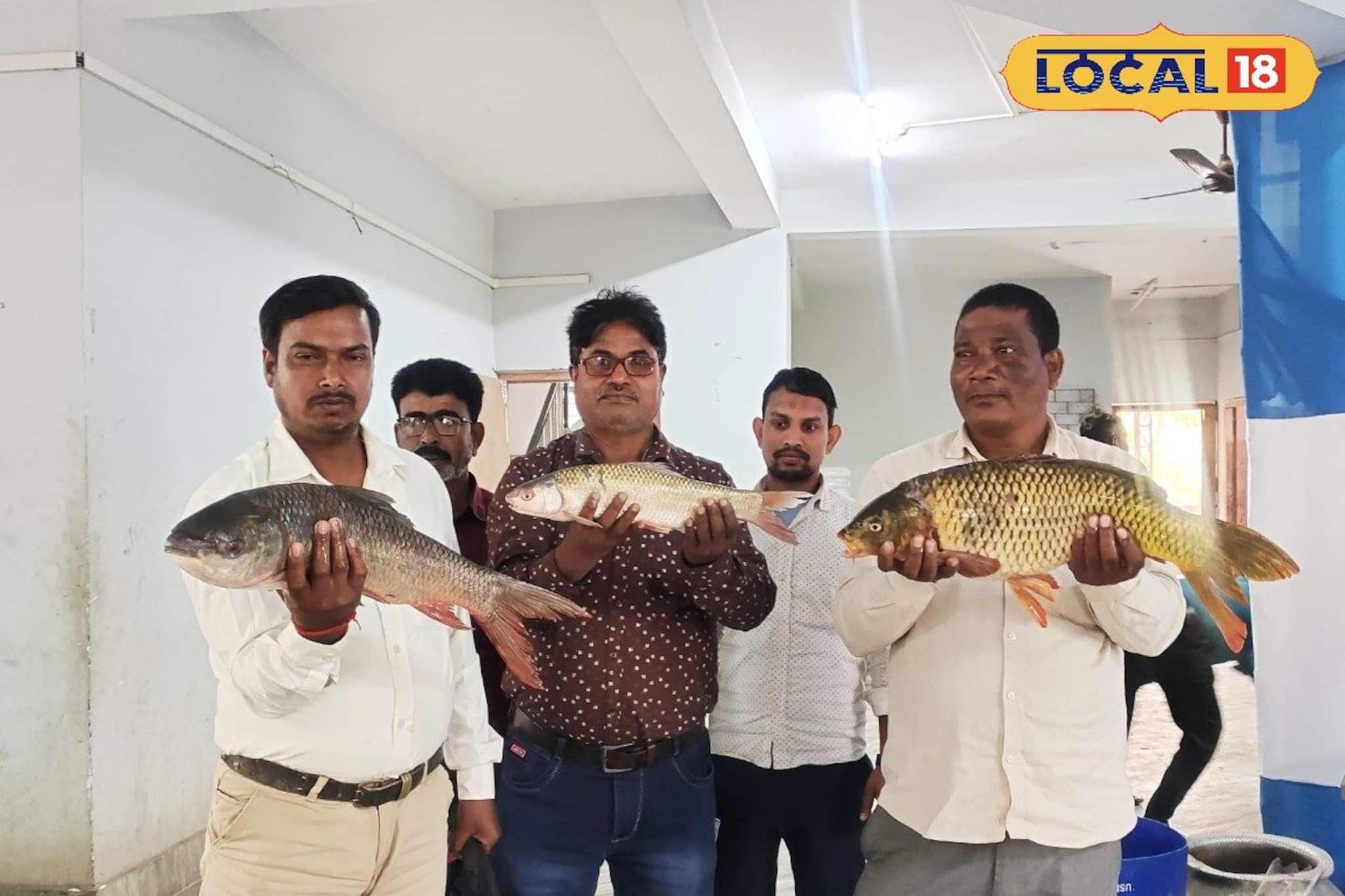 বাজারের চড়া দামকে টা-টা! সরকারি স্টলে জলের দরে মিলছে ইলিশ ও ভেটকি বাজারের চড়া দামকে টা-টা! সরকারি স্টলে জলের দরে মিলছে ইলিশ ও ভেটকি