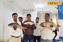 Sufal Bangla Fish Stall: বাজারের চড়া দামকে টা-টা! রুই থেকে ইলিশ—সবই কম দামে, ভিড় বাড়ছে স্টলে, কোথায় মিলছে জানুন
